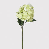 Green cone hydrangea spray